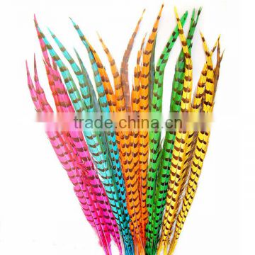 indian feather headdress/ turkey feather