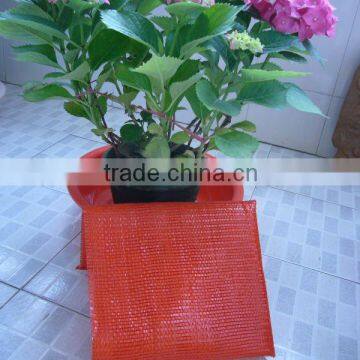 Promotion month!! Plastic Mesh Bag/string bag/plastic bag/packing bag with cheap price