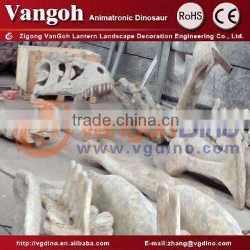 Zigong fiberglass skeleton dinosaur