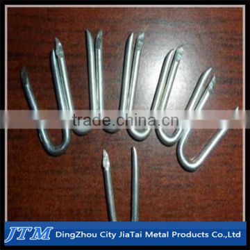 (17 years factory)U type nails from DingZhou factory
