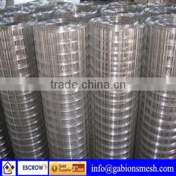 China professional factory,high quality,low price,welded wire mesh basics
