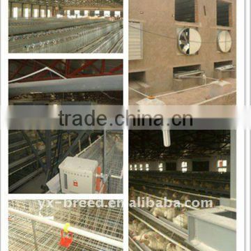 sheds for poultry farm in automatic operation