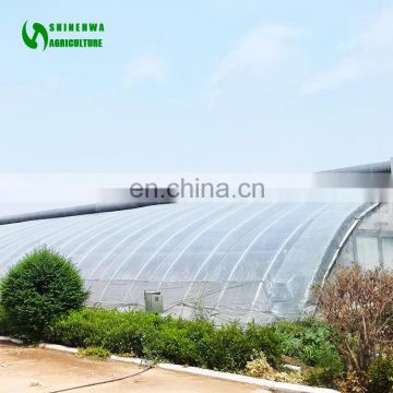 Sunlight Greenhouse Hot Galvanizing Structure