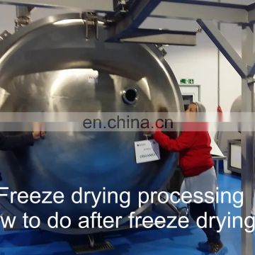 XINYANG lyophilizer with two cold trap continuous condensing and alternative de-icing for freeze dried food