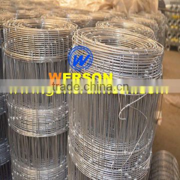 150/12/15 hot dipped galvanized Hinged Knot Fence| werson fence