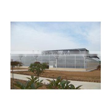 The sunshine board greenhouse for vegetables