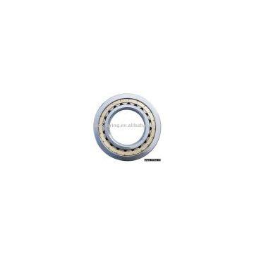 cylindrical  roller  bearing