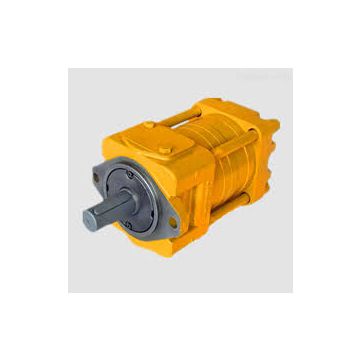 Qt5252-50-40f Low Noise Sumitomo Gear Pump Leather Machinery