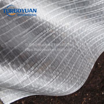 transparent woven pe fabric tarpaulin / HDPE tarp in roll for fruit trees rain protection