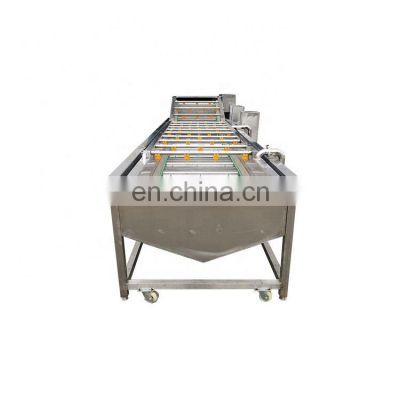 Factory Supply Vegetable And Fruit Washing Machine Multipurpose Vegetable And Fruit Washing Machine Fruit Bubble Washing Machine