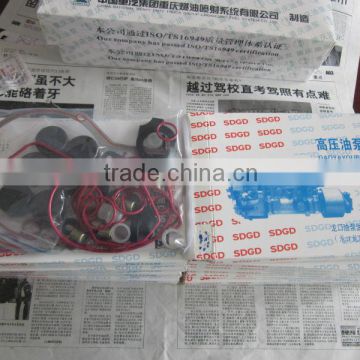 LongKou Pump Gasket Kit for Longkou BHT6P120R Pump