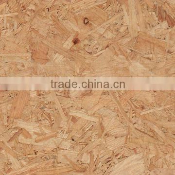 WBP Glue OSB board 15mm for building house