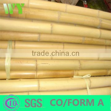 Dry Straight agriculture Moso Bamboo Poles manufactures china