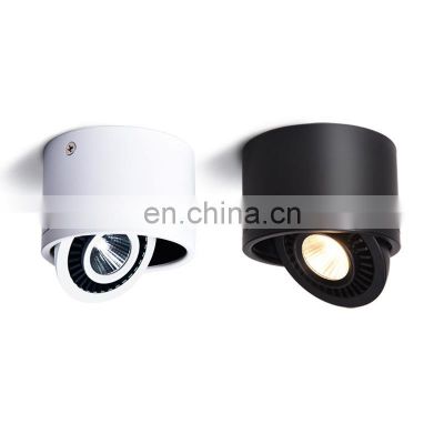 Adjustable COB LED Aluminum Round Ceiling Down Light 15W Surface Mounted Lighting Design Downlight
