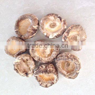 Dried White Tea Flower Shiitake Mushroom Cap without Leg