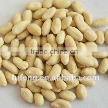Bold Whole Blanched Peanut Kernel