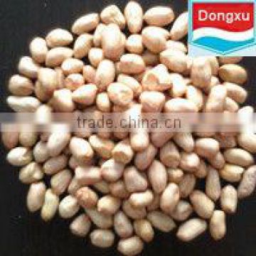 baisha peanut kernels