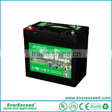 Promotion price EverExceed Manufacture Pack 48v battery