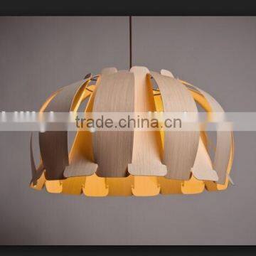 Creative stylish new modern chandelier Ceiling fixture Pendant light