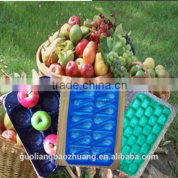Safety Food Grade Custom Design Plastic Fruit Platter Tray