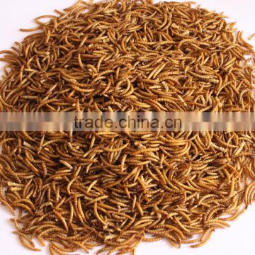 Yellow Mealworm Dried Mealworm Bird Feed Chicken Reptile Food