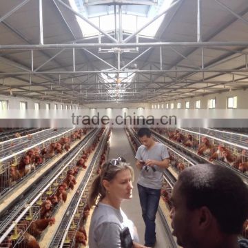 battery cage galvanized chicken cage for sale