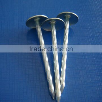 China supplier roofing nail/galvanized roofing nail/umbrella head coil roofing nail