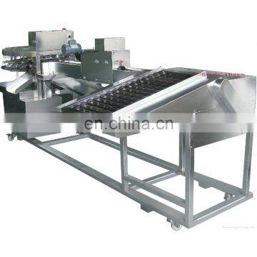 High Capacity High Efficiency egg separating machine egg white and yolk separator