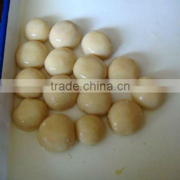CANNED WHOLE WHITE MUSHROOM IN BRINE CAN FOOD