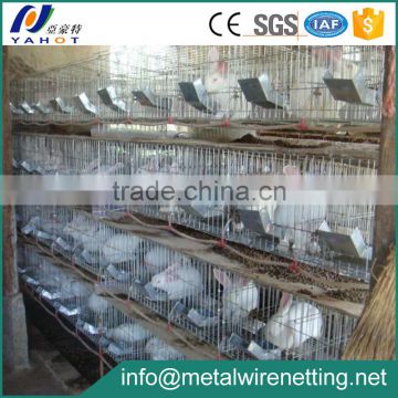 Galvanized Cages for Rabbits