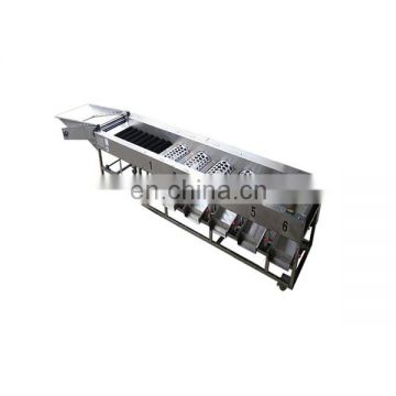 Automatic brush roll cleaning garlic size grading sorting machine