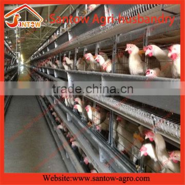 Stable steel structure professional chicken egg layer cage chicken coop plans for 12 chickens