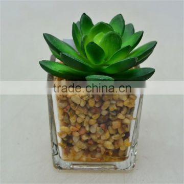 New Product Competitive Price Artificial Plant with Little Glass pot