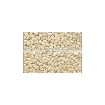 Premium Quality Hulled Sesame Seeds