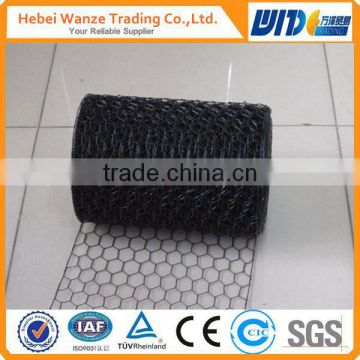 torsion wire mesh/pvc coated hexagonal wire mesh/torsion mesh for poultry