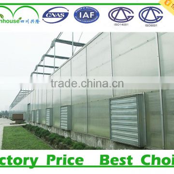 low cost tunnel green house for sale