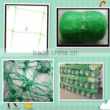 Garden and Plant Plastic Trellis and Fencing Mesh Support net(Green) - ideal for climbers, runner beans and sweet peas