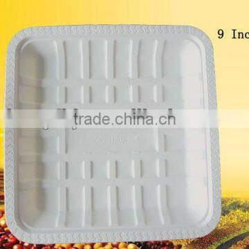 biodegradable food trays--9 inch tray