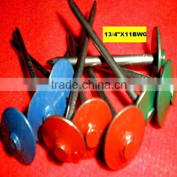 Galvanized flat head roofing nails