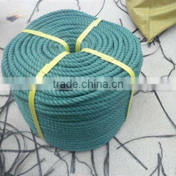 Plastic Green Color Rope