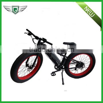 import fast delivery electric mountain bicycle for Europe market