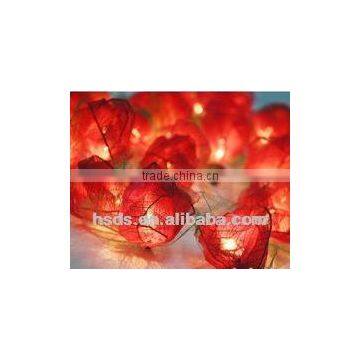 30 Bloomination natural Rose Wedding String Lights-Red 2014