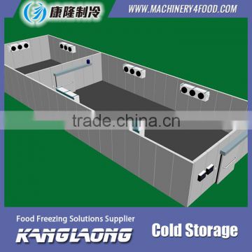 China Factory Professional Cold Room Build