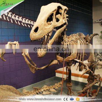 Huge prehistoric animal model mammoth skeleton