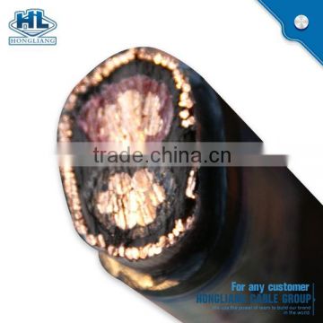 0.6/1kV 2x6AWG XLPE Insulated Copper Concentric Cable