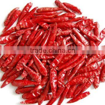 Best price for Tamilnadu Red Chilli