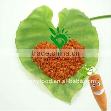 Natural Dry Carrot