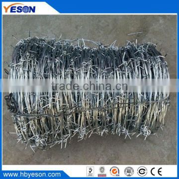 galvanized barbed wire/PVC PE barbed wire for railway,highway,millitary jail,industry