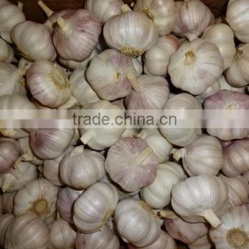 2016-2017 fresh white garlic clear garlic, year garlic,fresh garlic, chinese garlic