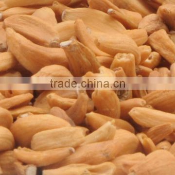 ISO 22000:2005 Certified Dehydrated Garlic Flakes/Granules/Powder Manufacturers